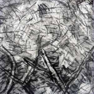 Étude 15